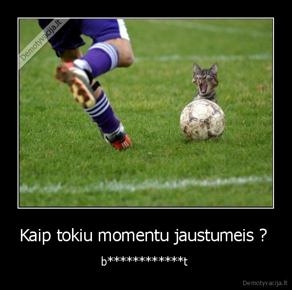 Kaip tokiu momentu jaustumeis ?  - b************t 