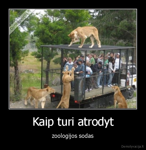 Kaip turi atrodyt - zoologijos sodas