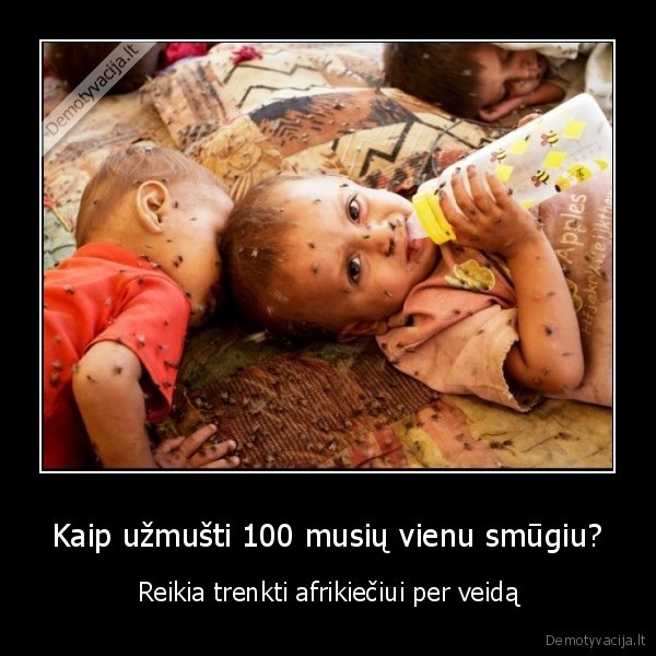 Kaip užmušti 100 musių vienu smūgiu? - Reikia trenkti afrikiečiui per veidą