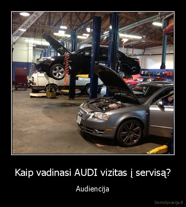 Kaip vadinasi AUDI vizitas į servisą? - Audiencija