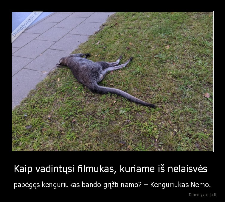 Kaip vadintųsi filmukas, kuriame iš nelaisvės  - pabėgęs kenguriukas bando grįžti namo? – Kenguriukas Nemo.