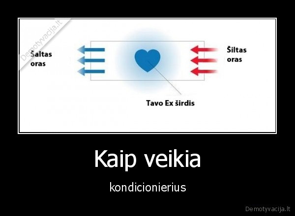 Kaip veikia - kondicionierius