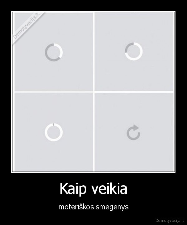 Kaip veikia - moteriškos smegenys