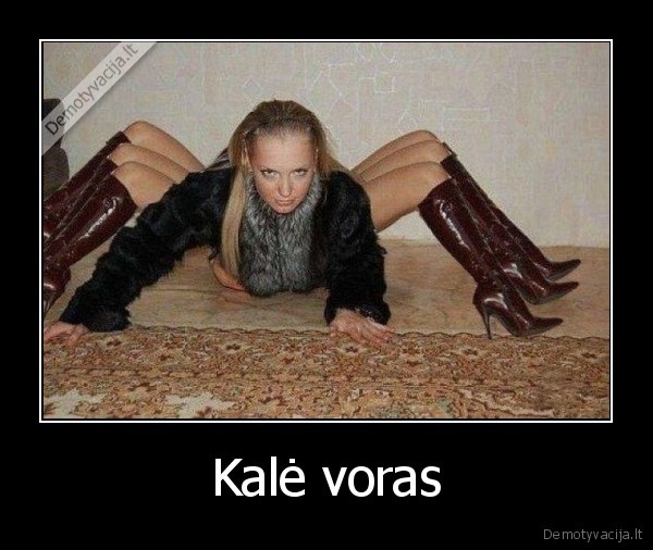 Kalė voras - 