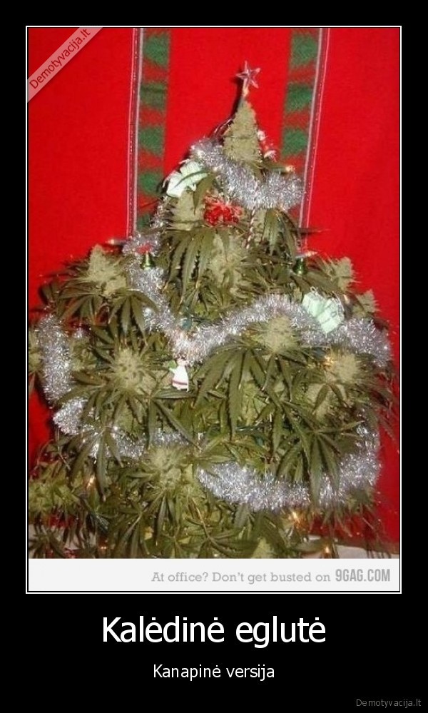 Kalėdinė eglutė - Kanapinė versija