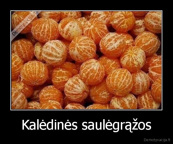 Kalėdinės saulėgrąžos - 