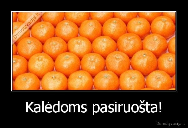 Kalėdoms pasiruošta! - 