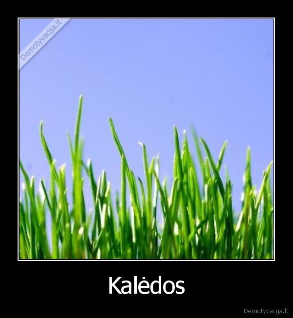 Kalėdos - 