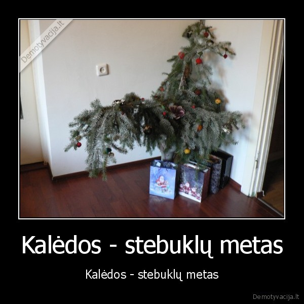 Kalėdos - stebuklų metas - Kalėdos - stebuklų metas