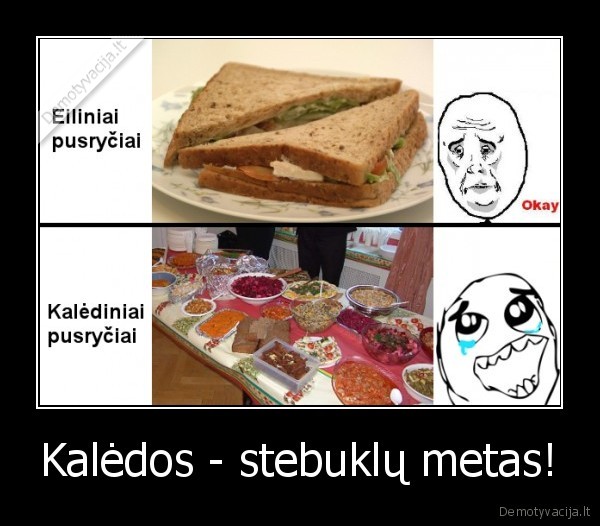 Kalėdos - stebuklų metas! - 