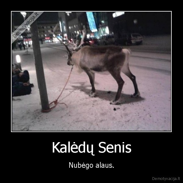 Kalėdų Senis - Nubėgo alaus.