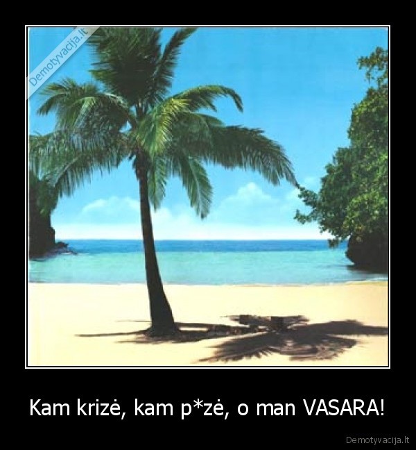 Kam krizė, kam p*zė, o man VASARA! - 