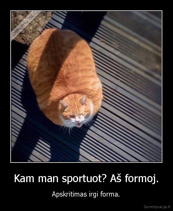 Kam man sportuot? Aš formoj. - Apskritimas irgi forma.