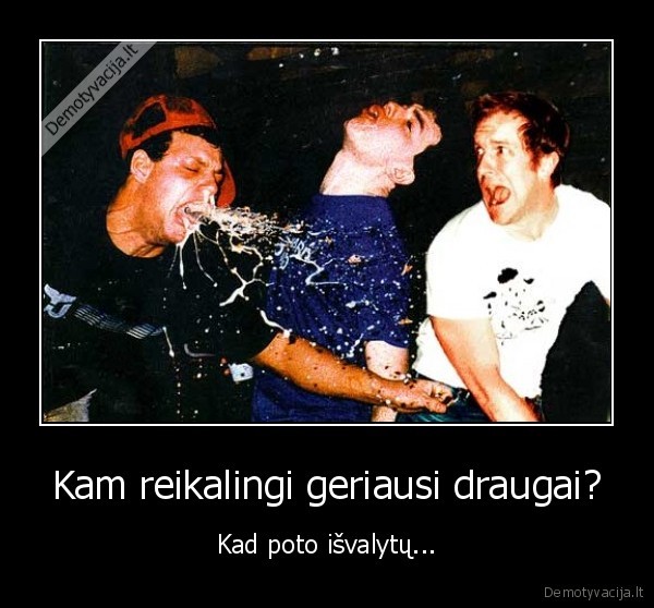 Kam reikalingi geriausi draugai? - Kad poto išvalytų...