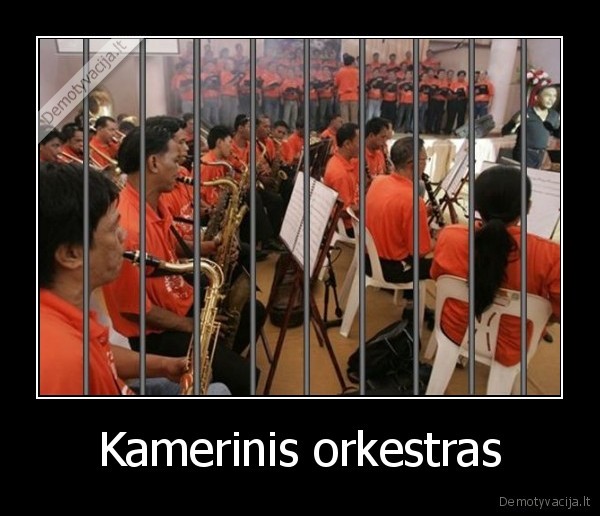 Kamerinis orkestras - 