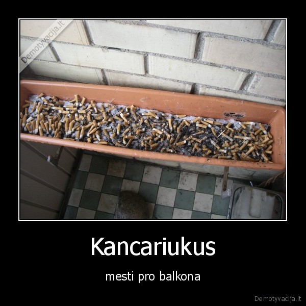 Kancariukus - mesti pro balkona