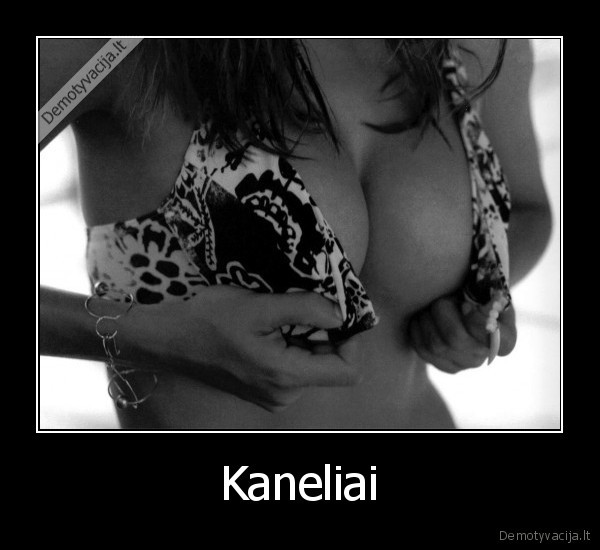 Kaneliai - 