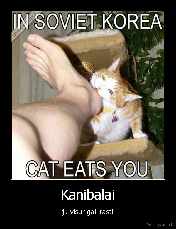 Kanibalai - ju visur gali rasti