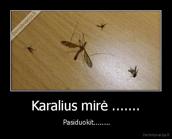 Karalius mirė ....... -  Pasiduokit........