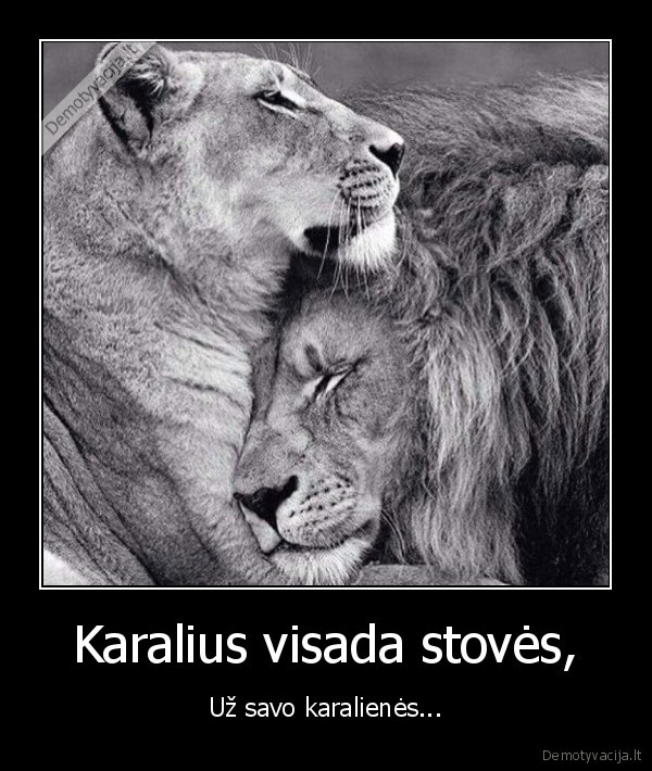 Karalius visada stovės, - Už savo karalienės...