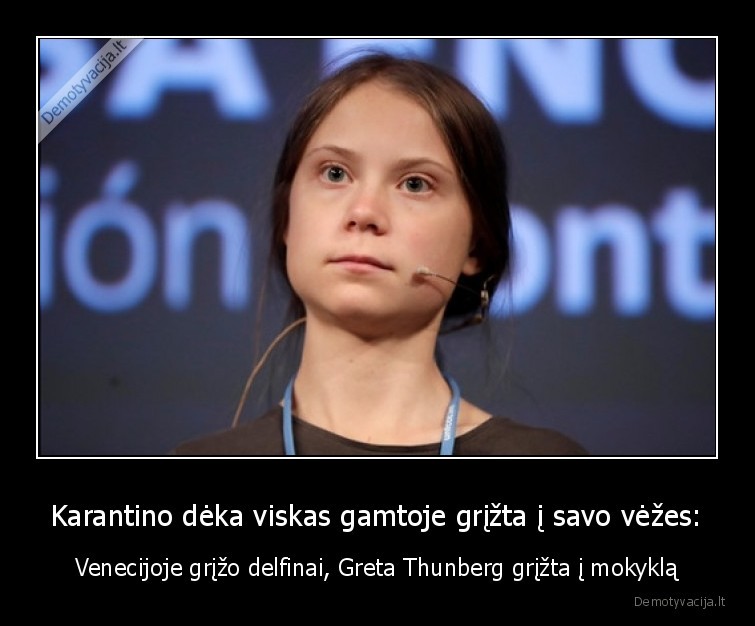 Karantino dėka viskas gamtoje grįžta į savo vėžes: - Venecijoje grįžo delfinai, Greta Thunberg grįžta į mokyklą