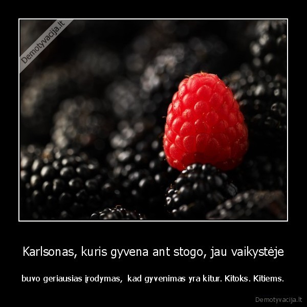 Karlsonas, kuris gyvena ant stogo, jau vaikystėje - buvo geriausias įrodymas,  kad gyvenimas yra kitur. Kitoks. Kitiems.