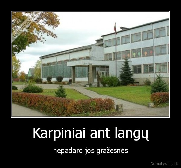 Karpiniai ant langų - nepadaro jos gražesnės