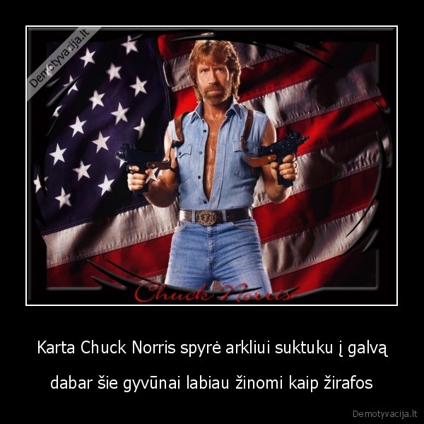 Karta Chuck Norris spyrė arkliui suktuku į galvą -  dabar šie gyvūnai labiau žinomi kaip žirafos 