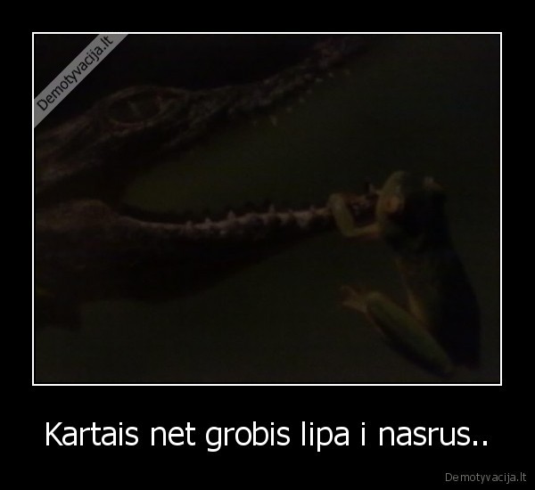 Kartais net grobis lipa i nasrus.. - 