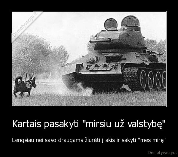 Kartais pasakyti "mirsiu už valstybę" - Lengviau nei savo draugams žiurėti į akis ir sakyti "mes mirę"