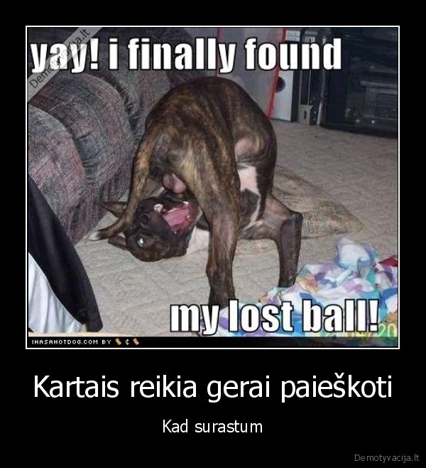 Kartais reikia gerai paieškoti - Kad surastum