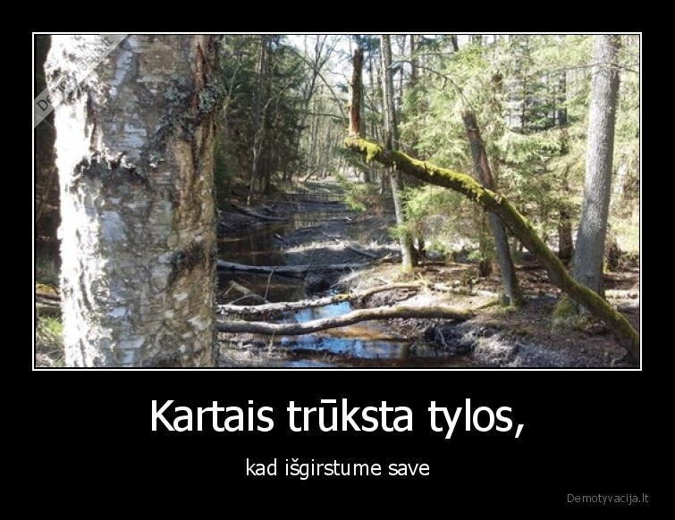 Kartais trūksta tylos, - kad išgirstume save