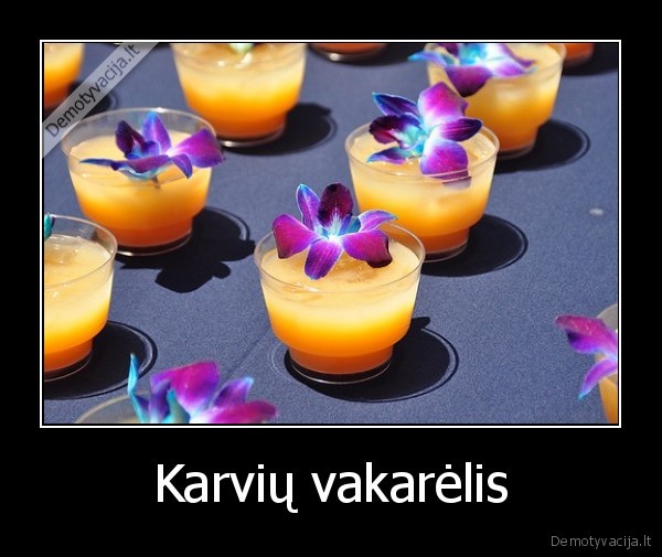 Karvių vakarėlis - 