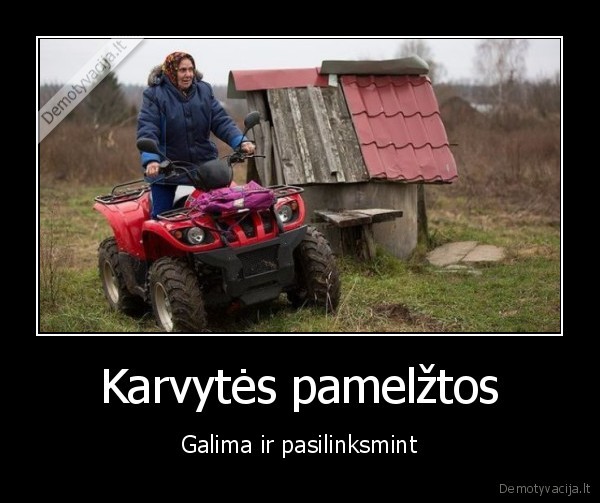 Karvytės pamelžtos - Galima ir pasilinksmint