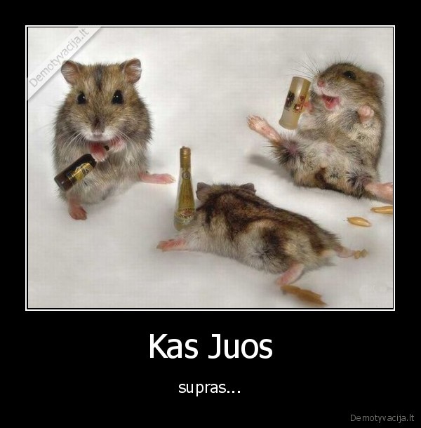 Kas Juos - supras...