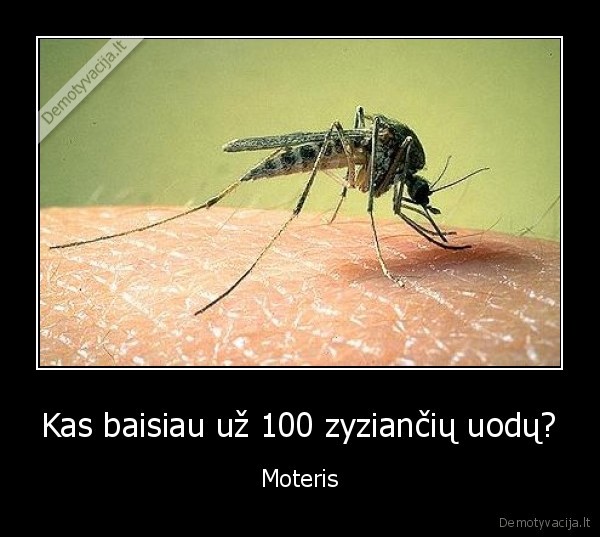 Kas baisiau už 100 zyziančių uodų? - Moteris