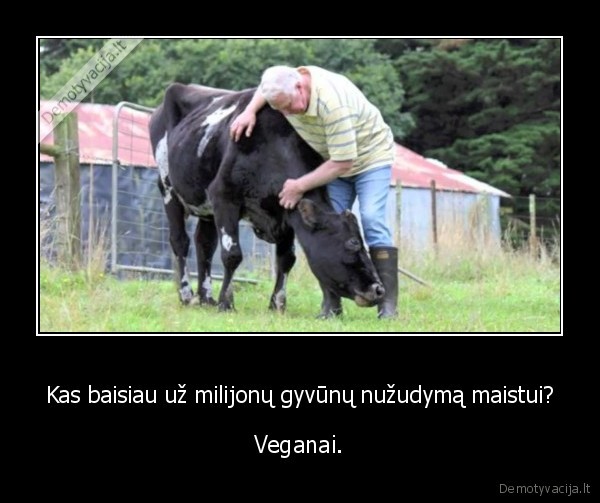 Kas baisiau už milijonų gyvūnų nužudymą maistui? - Veganai.