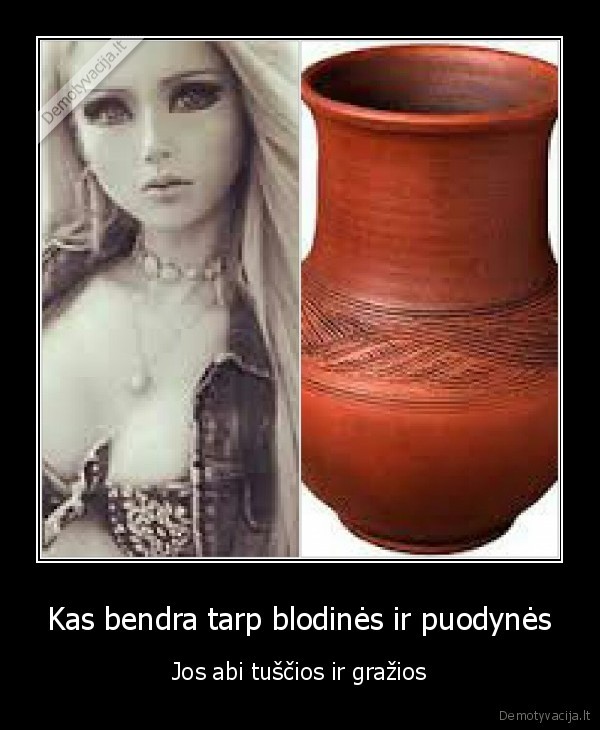 Kas bendra tarp blodinės ir puodynės - Jos abi tuščios ir gražios