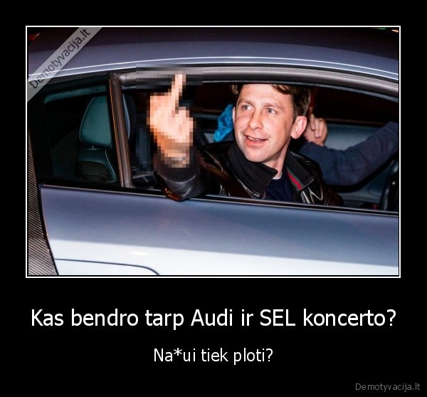 Kas bendro tarp Audi ir SEL koncerto? - Na*ui tiek ploti?