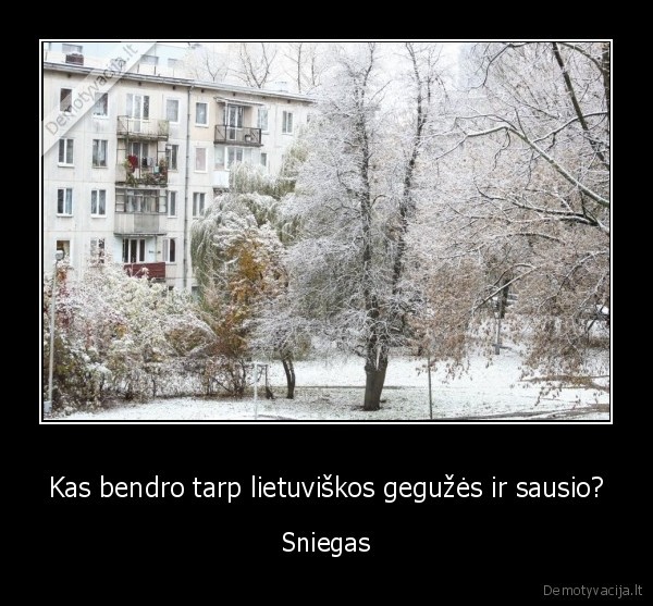 Kas bendro tarp lietuviškos gegužės ir sausio? - Sniegas