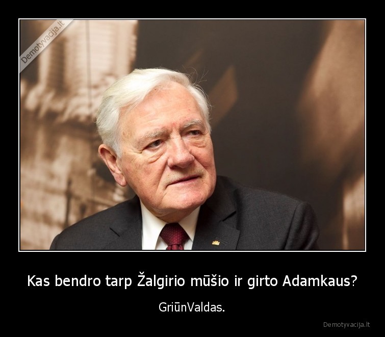 Kas bendro tarp Žalgirio mūšio ir girto Adamkaus? - GriūnValdas.