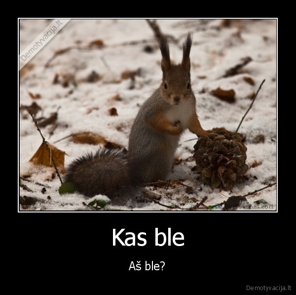 Kas ble - Aš ble?