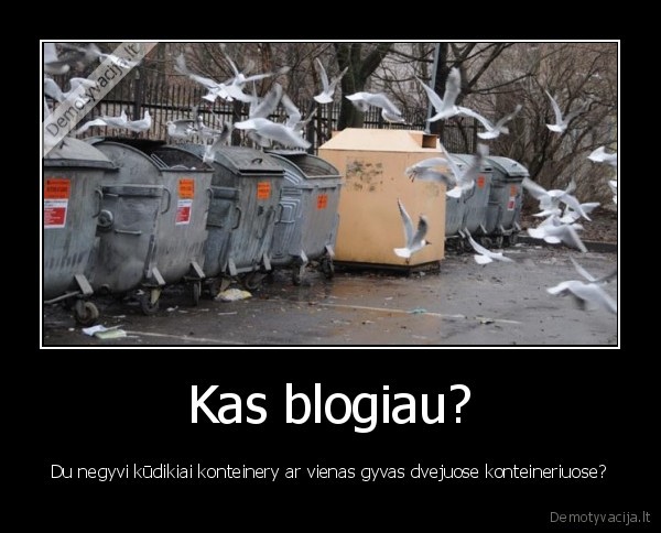 Kas blogiau? - Du negyvi kūdikiai konteinery ar vienas gyvas dvejuose konteineriuose?