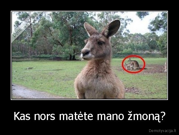 Kas nors matėte mano žmoną? - 