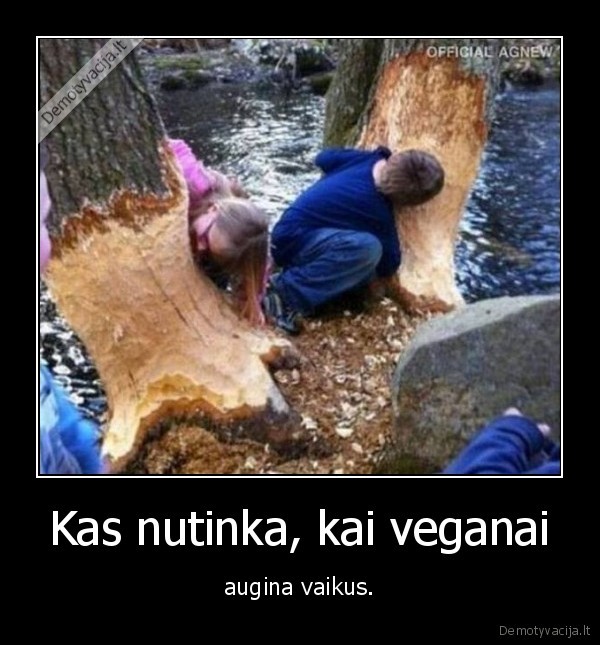 Kas nutinka, kai veganai - augina vaikus.