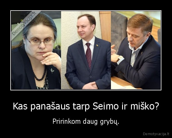 Kas panašaus tarp Seimo ir miško? - Pririnkom daug grybų.