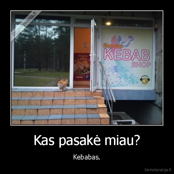 Kas pasakė miau? - Kebabas.