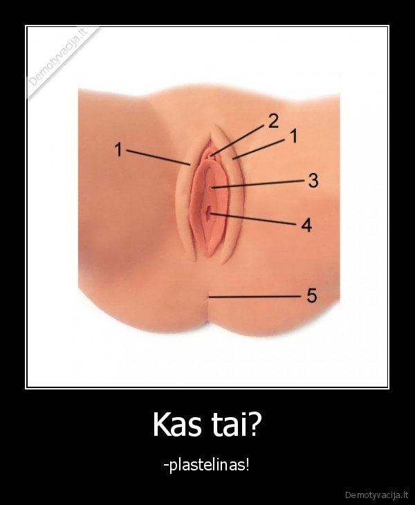 Kas tai? - -plastelinas!