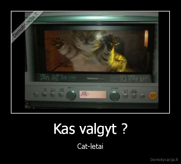 Kas valgyt ? - Cat-letai