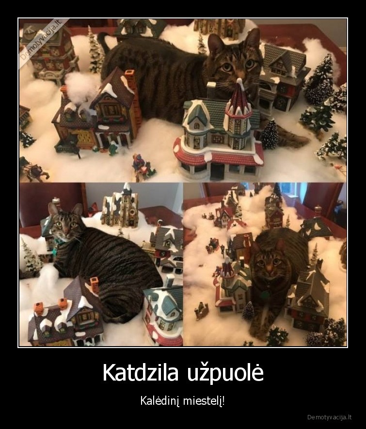 Katdzila užpuolė - Kalėdinį miestelį!